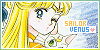 Aino Minako/Sailor Venus